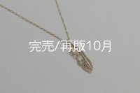 マイクロフェザーネックレス ｜K10YG｜ 