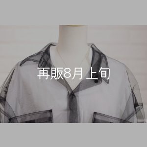画像7: マイクロフェザーネックレス ｜K10YG｜ 