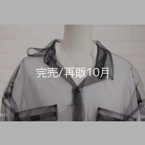 画像8: マイクロフェザーネックレス ｜K10YG｜ 