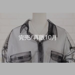 画像7: マイクロフェザーネックレス ｜K18YG｜ 