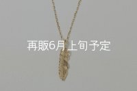 マイクロフェザーネックレス ｜K18YG｜ 