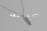 マイクロフェザーネックレス ｜Pt900｜ 