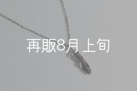マイクロフェザーネックレス ｜Pt900｜ 