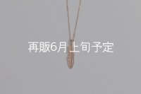 マイクロフェザーネックレス ｜K10PG｜ 