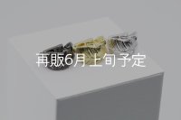 フェザーイヤーカフ 