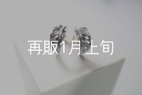 千年フェザー(S)ピアス  [ペア] 
