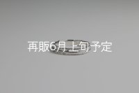 フェザーリング(3mm) ｜Pt900｜ 