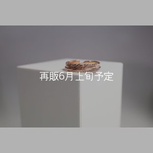 画像2: フェザーリング(4mm) ｜K10PG｜ 