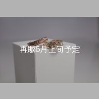 フェザーリング [ペア]  ■K10PG 4mm  ■K10YG 6mm 