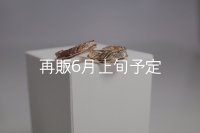 フェザーリング [ペア]  ■K10PG 4mm  ■K10YG 6mm 