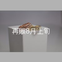 フェザーリング [ペア]  ■K10PG 4mm  ■K18YG 6mm 