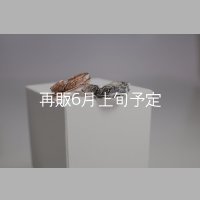 フェザーリング [ペア]  ■K10PG 4mm  ■SV925 6mm 