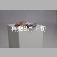 フェザーリング [ペア]  ■K10PG 4mm  ■SV925 6mm 