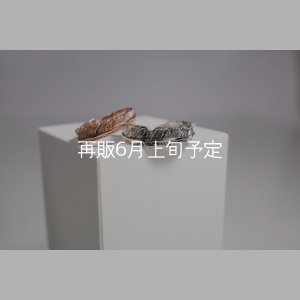 画像1: フェザーリング [ペア]  ■K10PG 4mm  ■SV925 6mm 