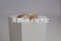 フェザーリング [ペア] ｜K10YG｜ ■4mm  ■6mm 