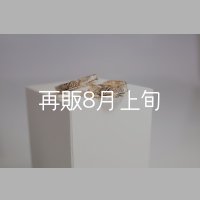 フェザーリング [ペア] ｜K10YG｜ ■4mm  ■6mm 