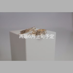 画像1: フェザーリング [ペア] ｜K10YG｜ ■4mm  ■6mm 