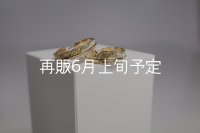 フェザーリング [ペア] ｜K18YG｜ ■4mm  ■6mm 