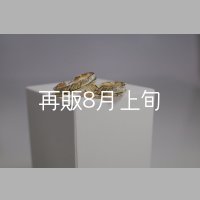 フェザーリング [ペア] ｜K18YG｜ ■4mm  ■6mm 