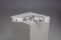 フェザーリング [ペア] ｜Pt900｜ ■3mm  ■4mm 