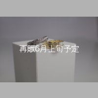 フェザーリング [ペア]  ■Pt900 4mm  ■K18YG 6mm 