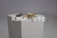 フェザーリング [ペア]  ■Pt900 4mm  ■K18YG 6mm 