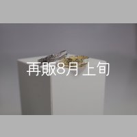 フェザーリング [ペア]  ■Pt900 4mm  ■K18YG 6mm 