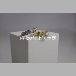 画像1: フェザーリング [ペア]  ■Pt900 4mm  ■K18YG 6mm 