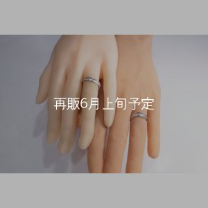 画像2: フェザーリング [ペア] ｜Pt900｜ ■4mm  ■6mm 