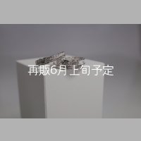 フェザーリング [ペア] ｜Pt900｜ ■4mm  ■6mm 