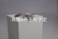 フェザーリング [ペア] ｜Pt900｜ ■4mm  ■6mm 