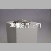 フェザーリング [ペア] ｜Pt900｜ ■4mm  ■6mm 
