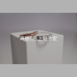 画像1: フェザーリング [ペア]  ■K10PG 3mm  ■SV925 4mm 