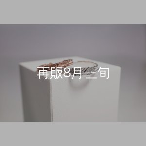 画像1: フェザーリング [ペア]  ■K10PG 3mm  ■SV925 4mm 