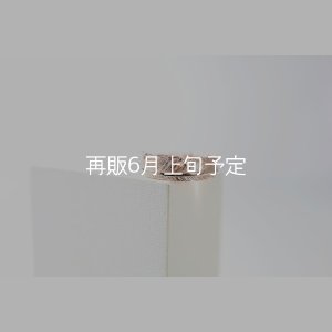 画像2: フェザーリング｜K10PG｜ 