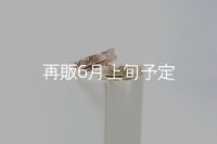 フェザーリング [ペア] ｜K10PG / K10YG｜ 