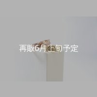 フェザーリング [ペア] ｜K10PG / K18YG｜ 