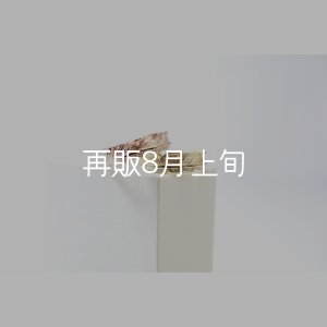 画像1: フェザーリング [ペア] ｜K10PG / K18YG｜ 
