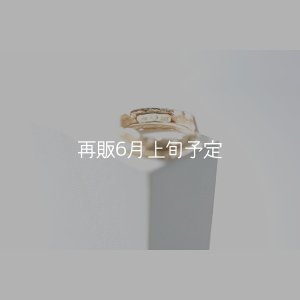 画像4: フェザーリング｜K10YG｜ 