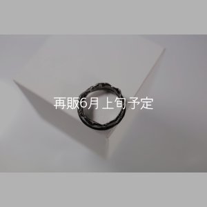 画像2: ブラックフェザーリング 