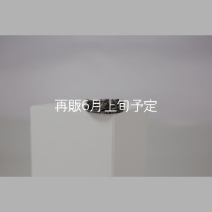画像3: ブラックフェザーリング 