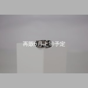 画像4: ブラックフェザーリング 
