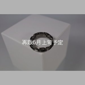 画像5: ブラックフェザーリング 