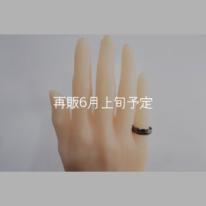 画像1: ブラックフェザーリング 