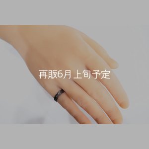 画像6: ブラックフェザーリング 