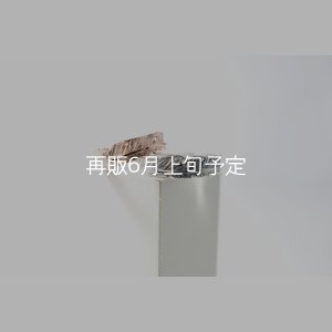 画像1: フェザーリング [ペア] ｜K10PG / SV925｜ 