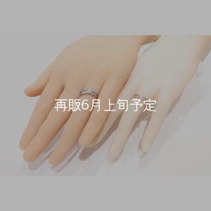 画像2: フェザーリング [ペア] ｜K10PG / SV925｜ 