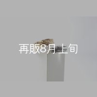 フェザーリング [ペア] ｜K10YG / SV925｜ 