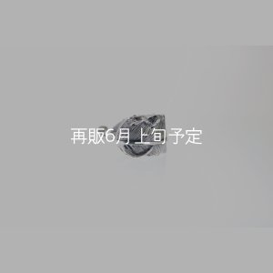 画像5: 千年フェザー(L1)リング 
