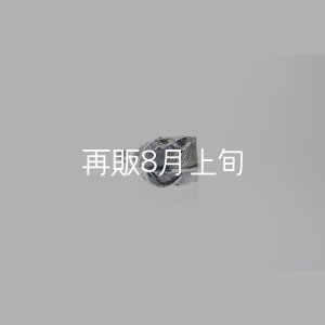 画像5: 千年フェザー(L1)リング 